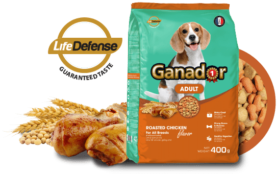 ganador dog food